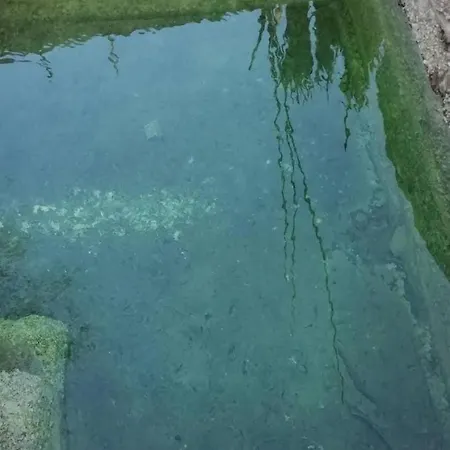 Casa Da Ilha Granjal Treixedo